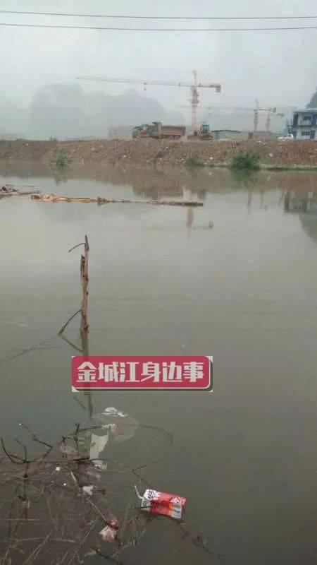 河池市网友爆料案件最新,最新案件细节曝光,真相令人震惊! 第1张 河池市网友爆料案件最新,最新案件细节曝光,真相令人震惊! 第1张